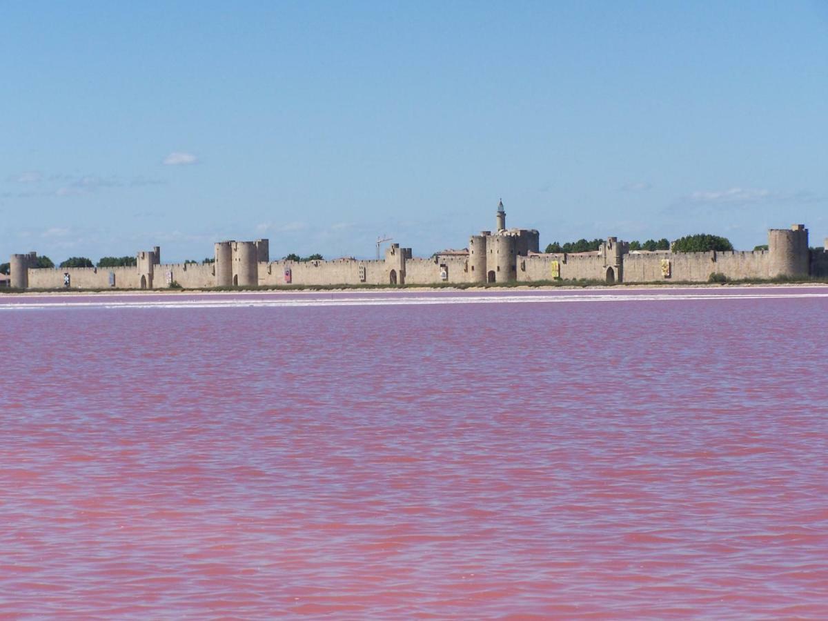 Aigues-Mortes villa prés des remparts Esterno foto